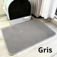 Gris