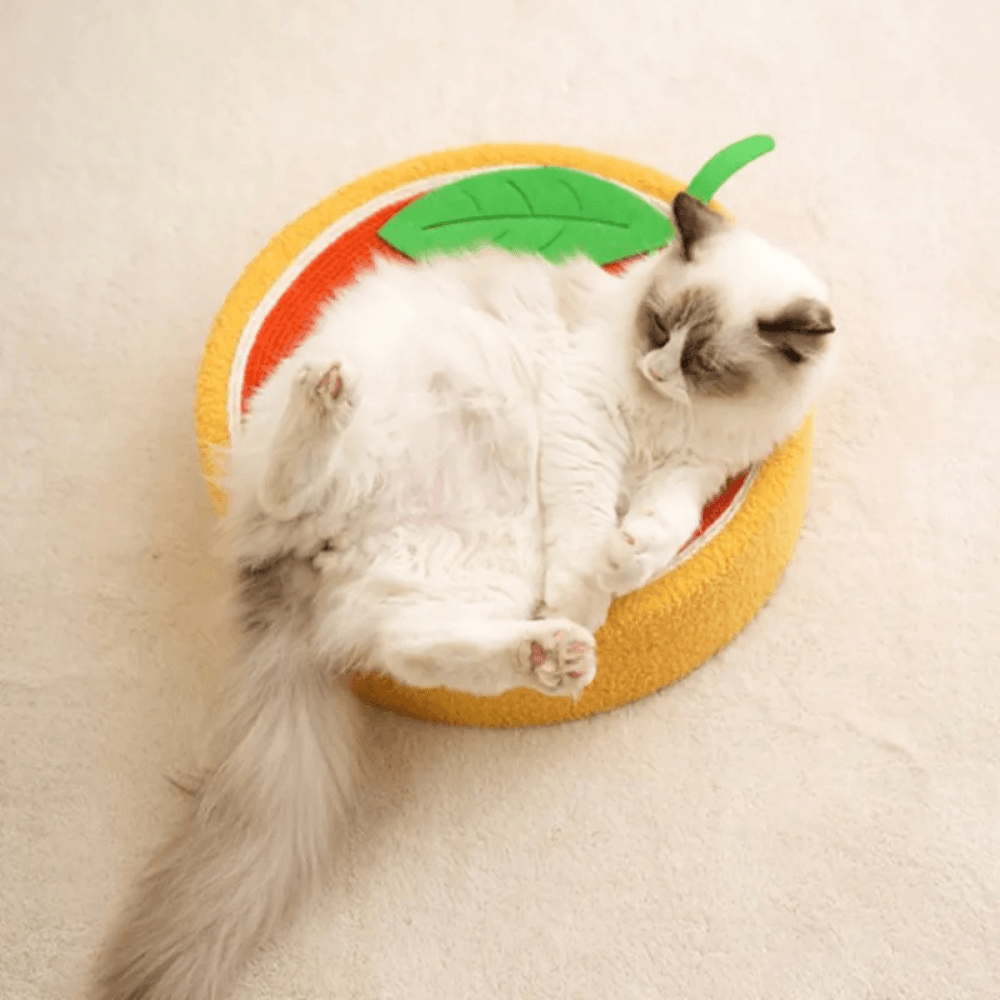 Rascador de Cama para Gatos