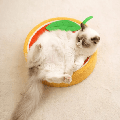 Rascador de Cama para Gatos