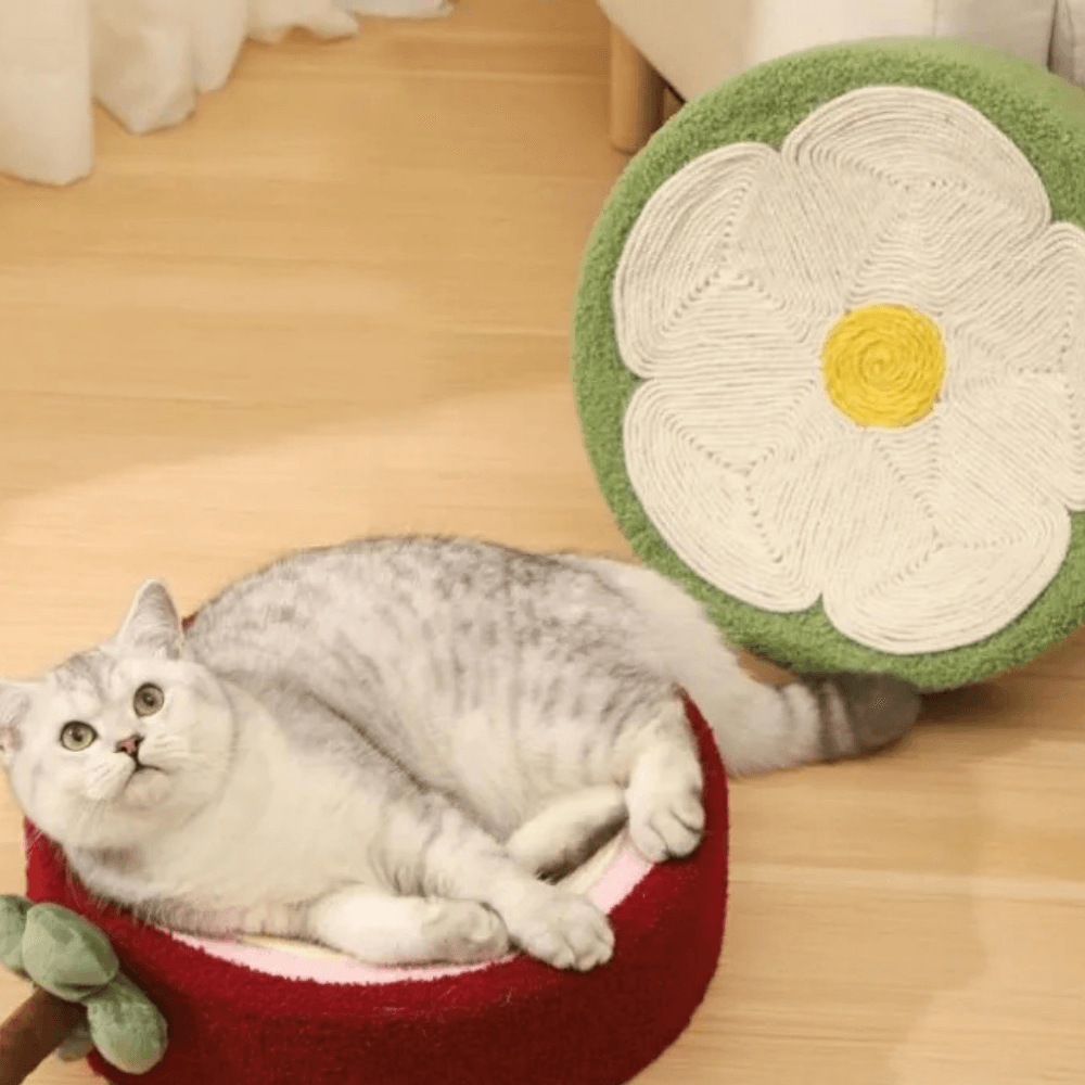 Rascador de Cama para Gatos