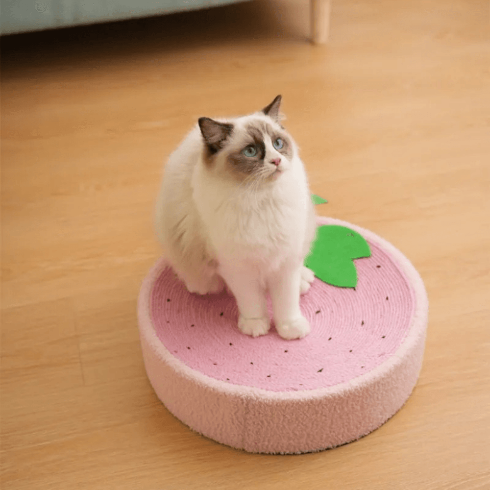 Rascador de Cama para Gatos
