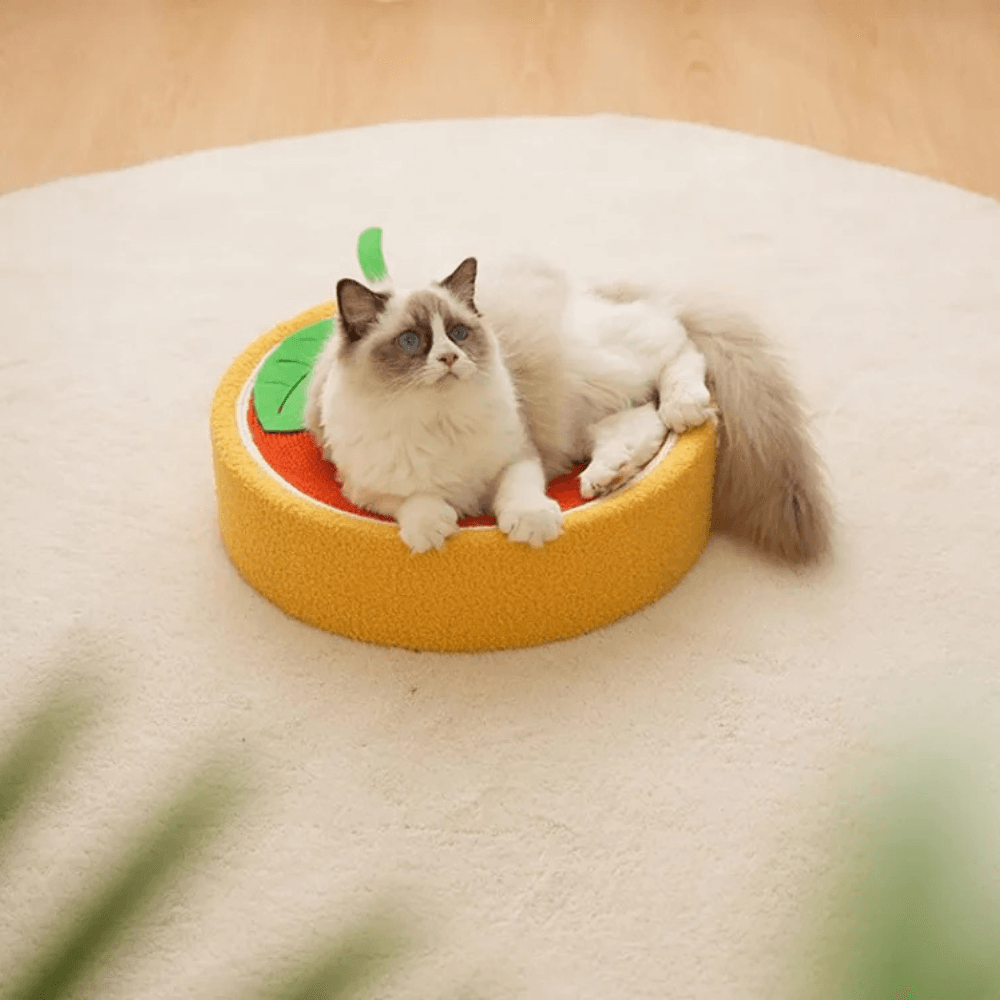 Rascador de Cama para Gatos