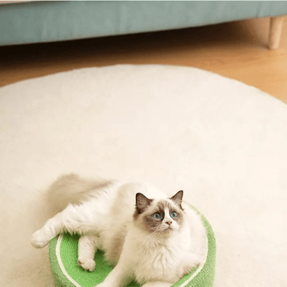Rascador de Cama para Gatos