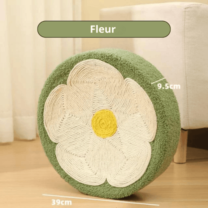 Rascador de Cama para Gatos