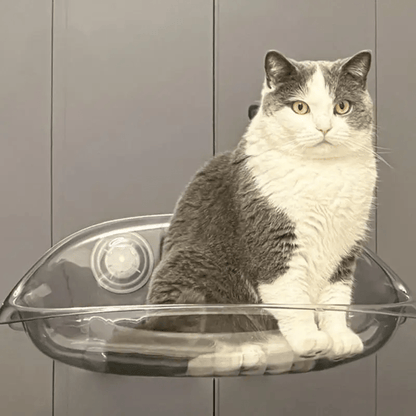 Cama Colgante Moderna para Gatos