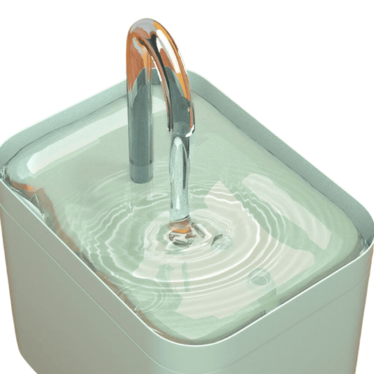 Fuente de agua con filtro para gatos