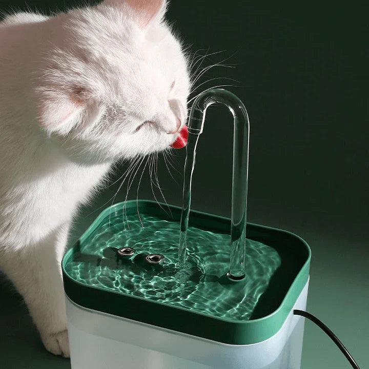 Fuente de agua con filtro para gatos