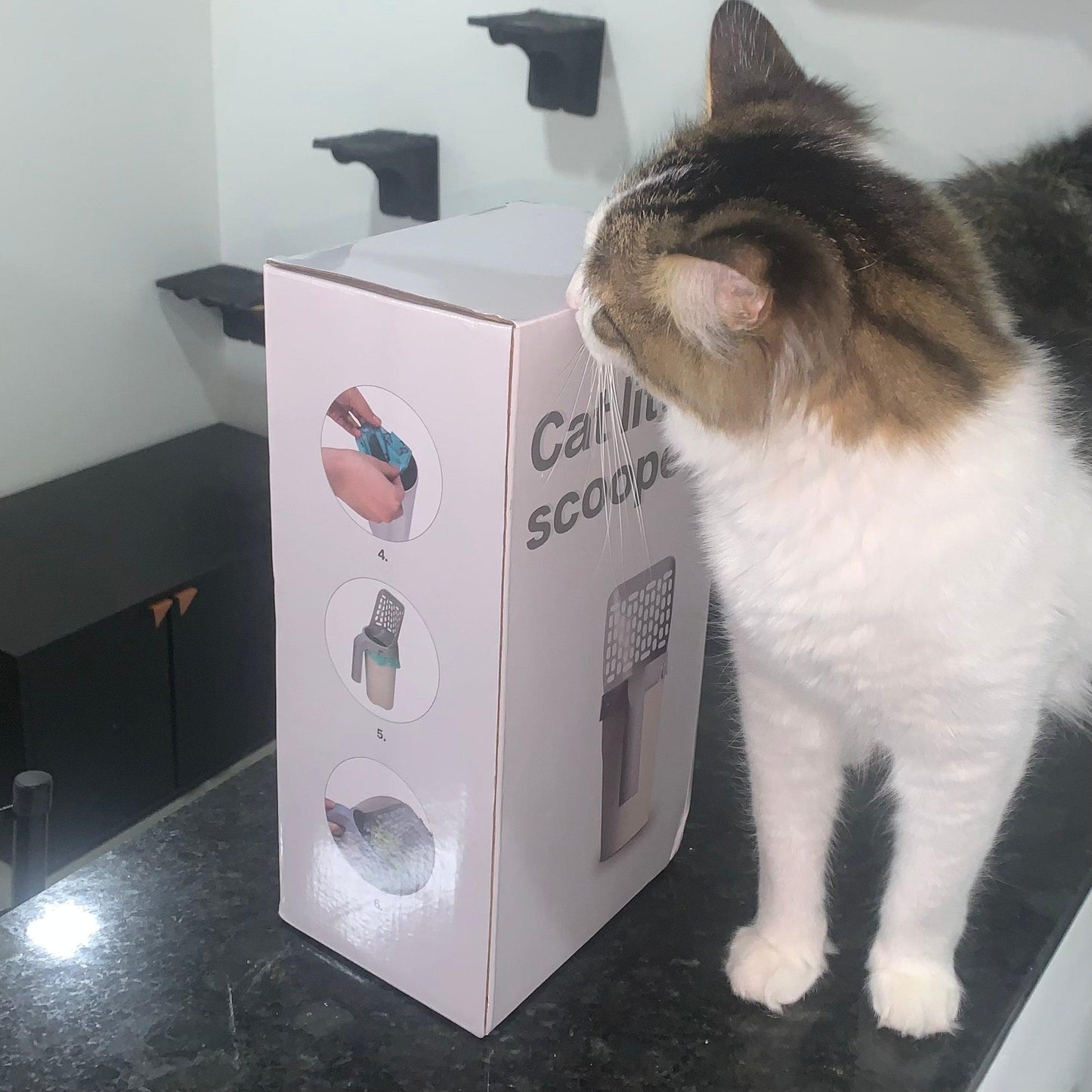 Pala con dosificador para gatos