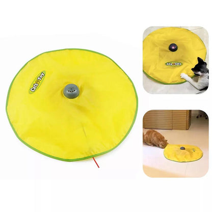 Alfombra Mágica Interactiva para Gatos