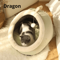 Dragón
