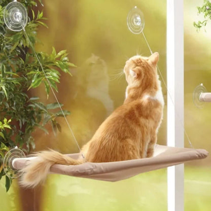 Cama colgante para ventana para gatos