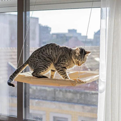 Cama colgante para ventana para gatos