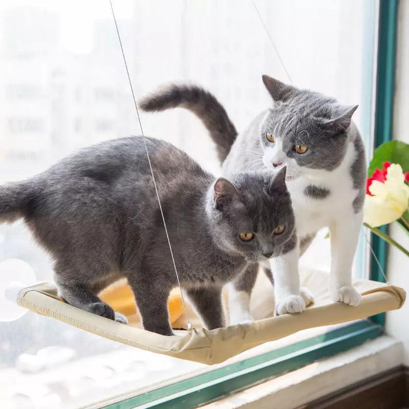 Cama colgante para ventana para gatos