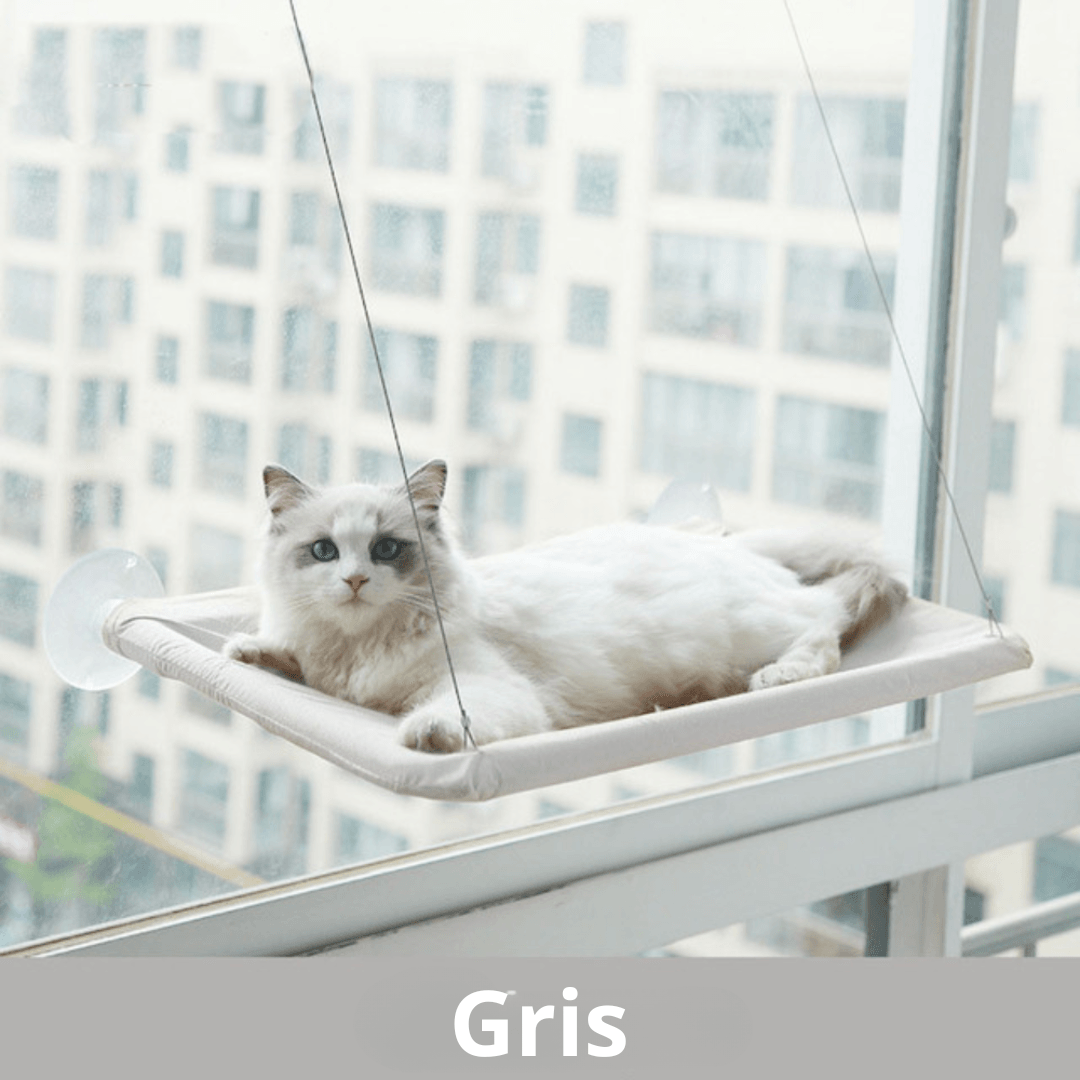 Cama colgante para ventana para gatos