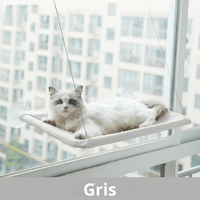 Gris