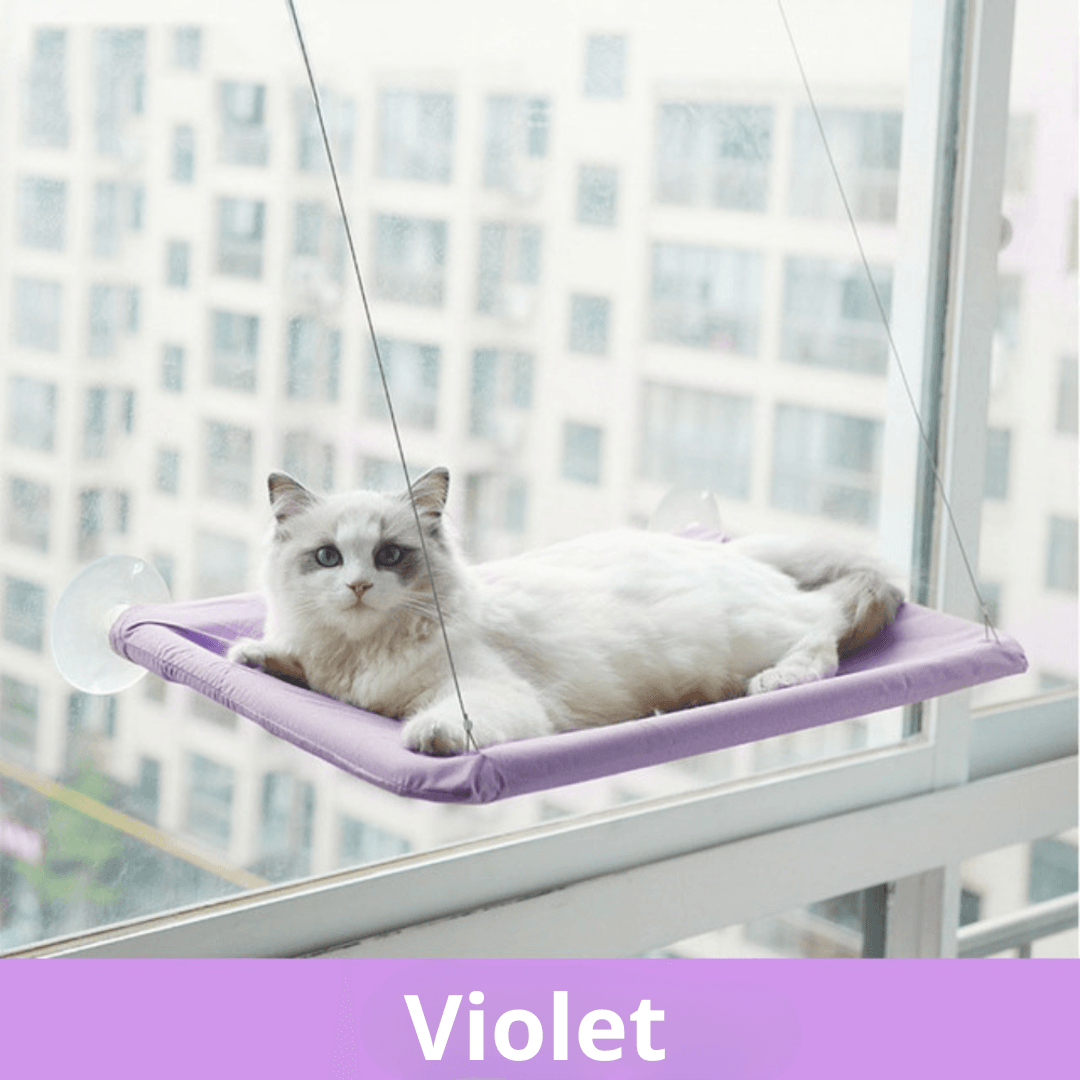 Cama colgante para ventana para gatos