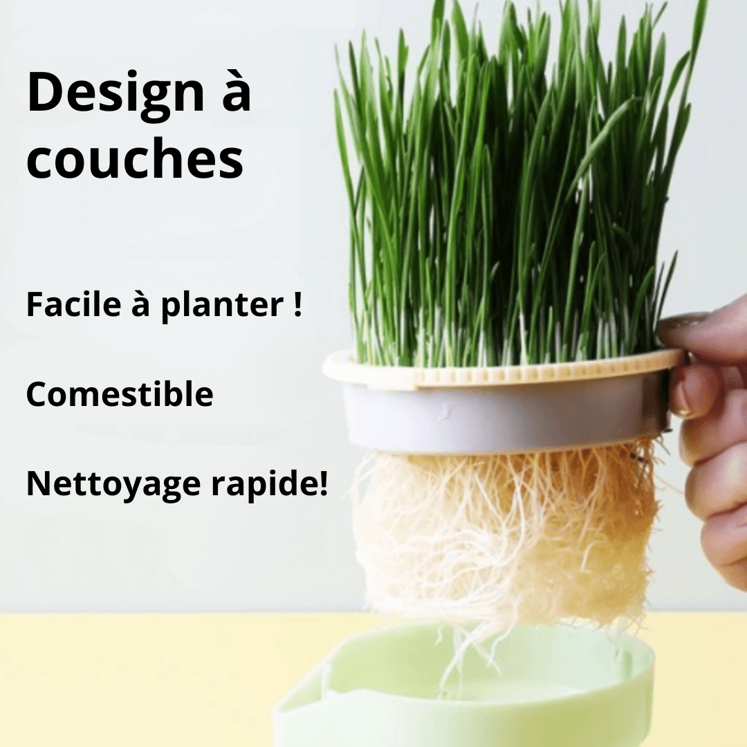 Macetas para plantas para gatos