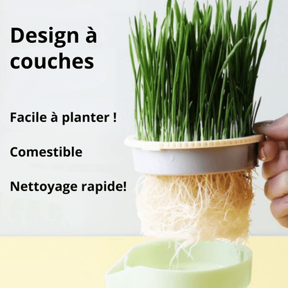 Macetas para plantas para gatos