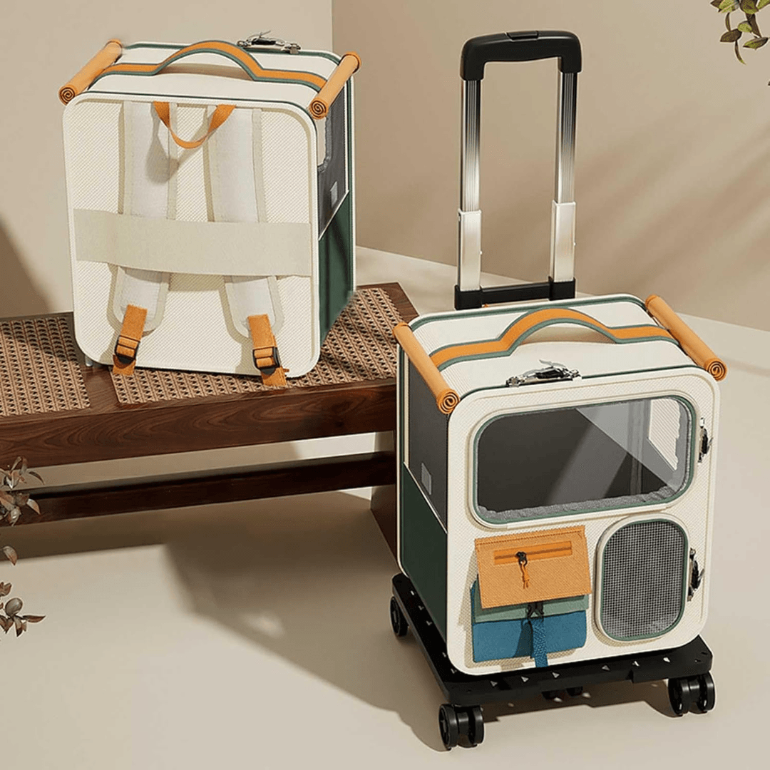 Transportín para Gatos
