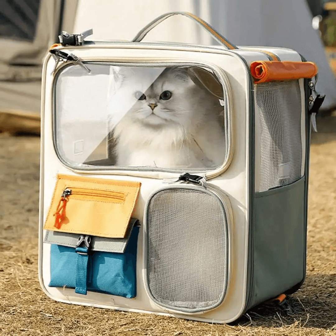Transportín para Gatos