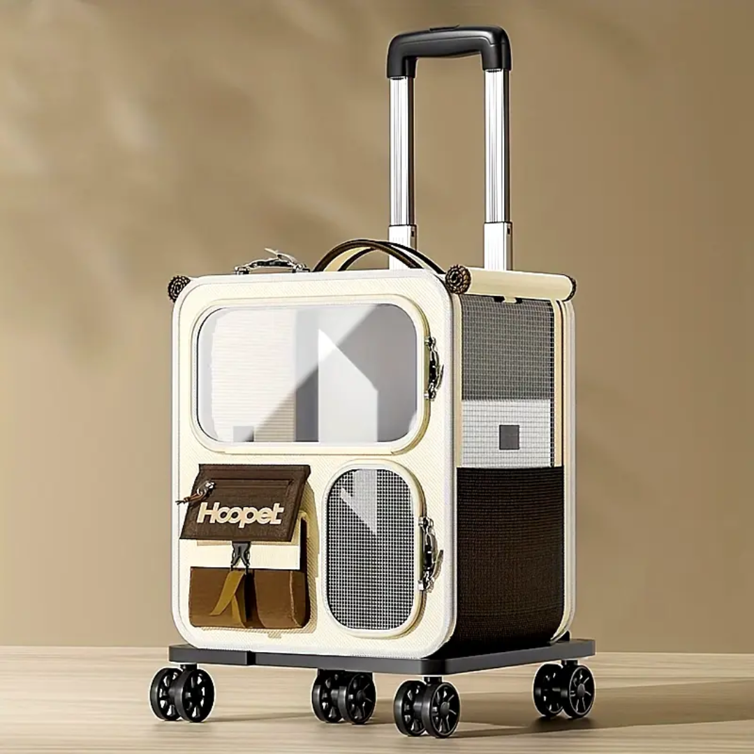 Transportín para Gatos